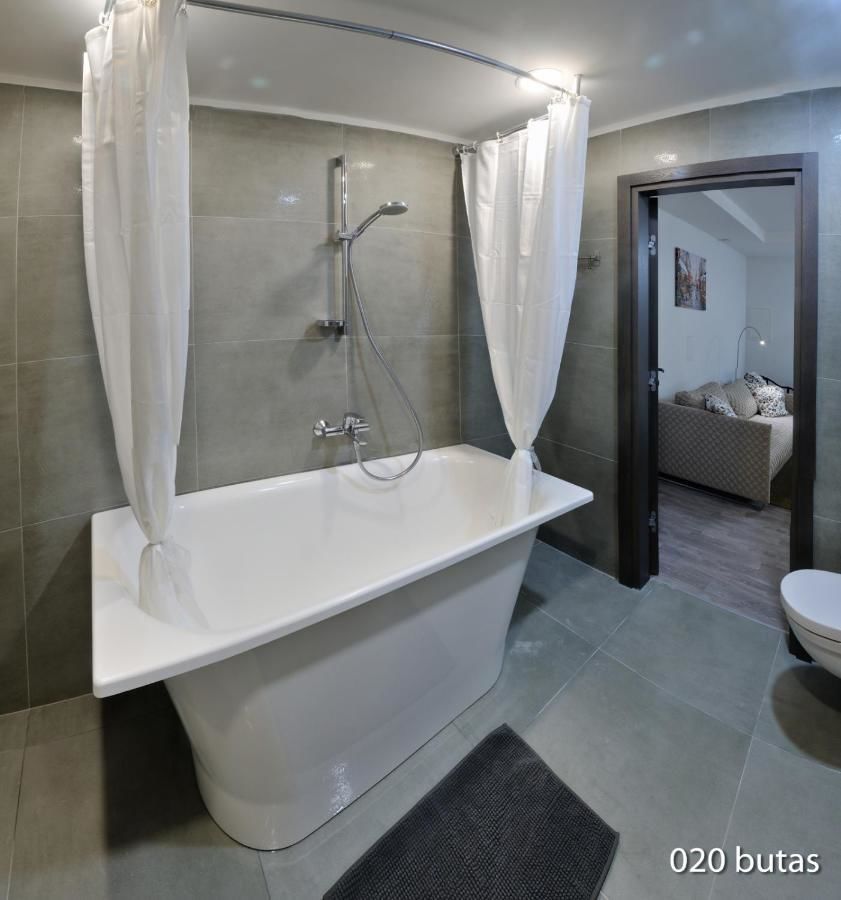 Апартаменты Luxurious apartment Вильнюс-5