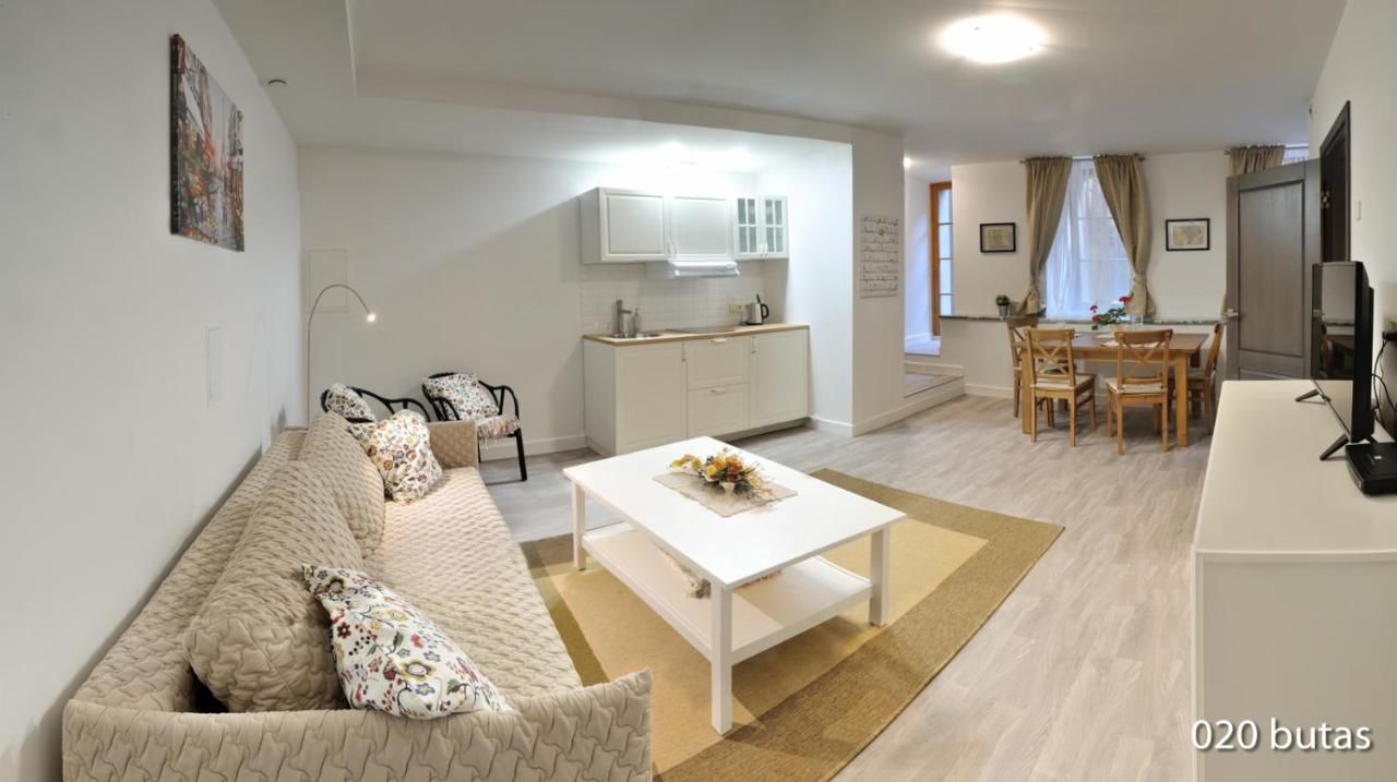 Апартаменты Luxurious apartment Вильнюс-8