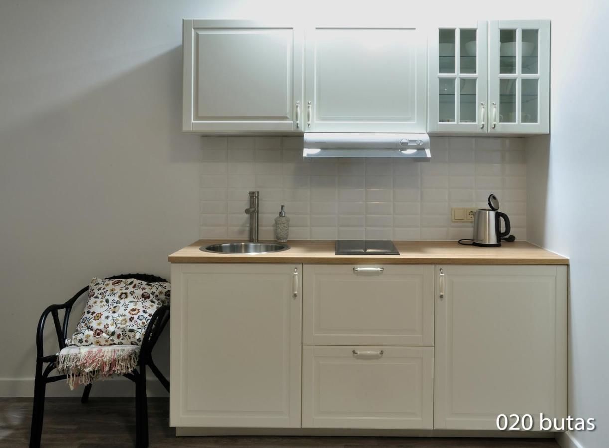 Апартаменты Luxurious apartment Вильнюс-10