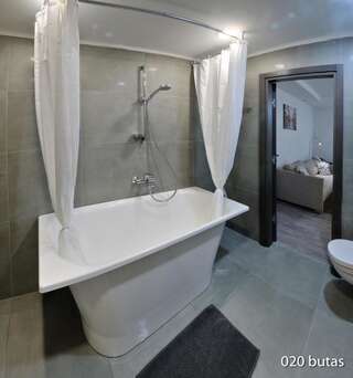 Апартаменты Luxurious apartment Вильнюс-1