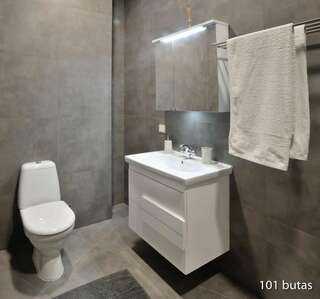 Апартаменты Luxurious apartment Вильнюс Четырехместный номер "Комфорт"-14