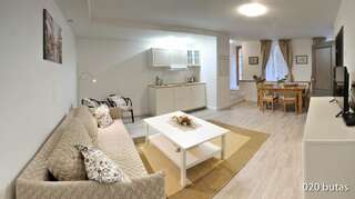 Апартаменты Luxurious apartment Вильнюс-4